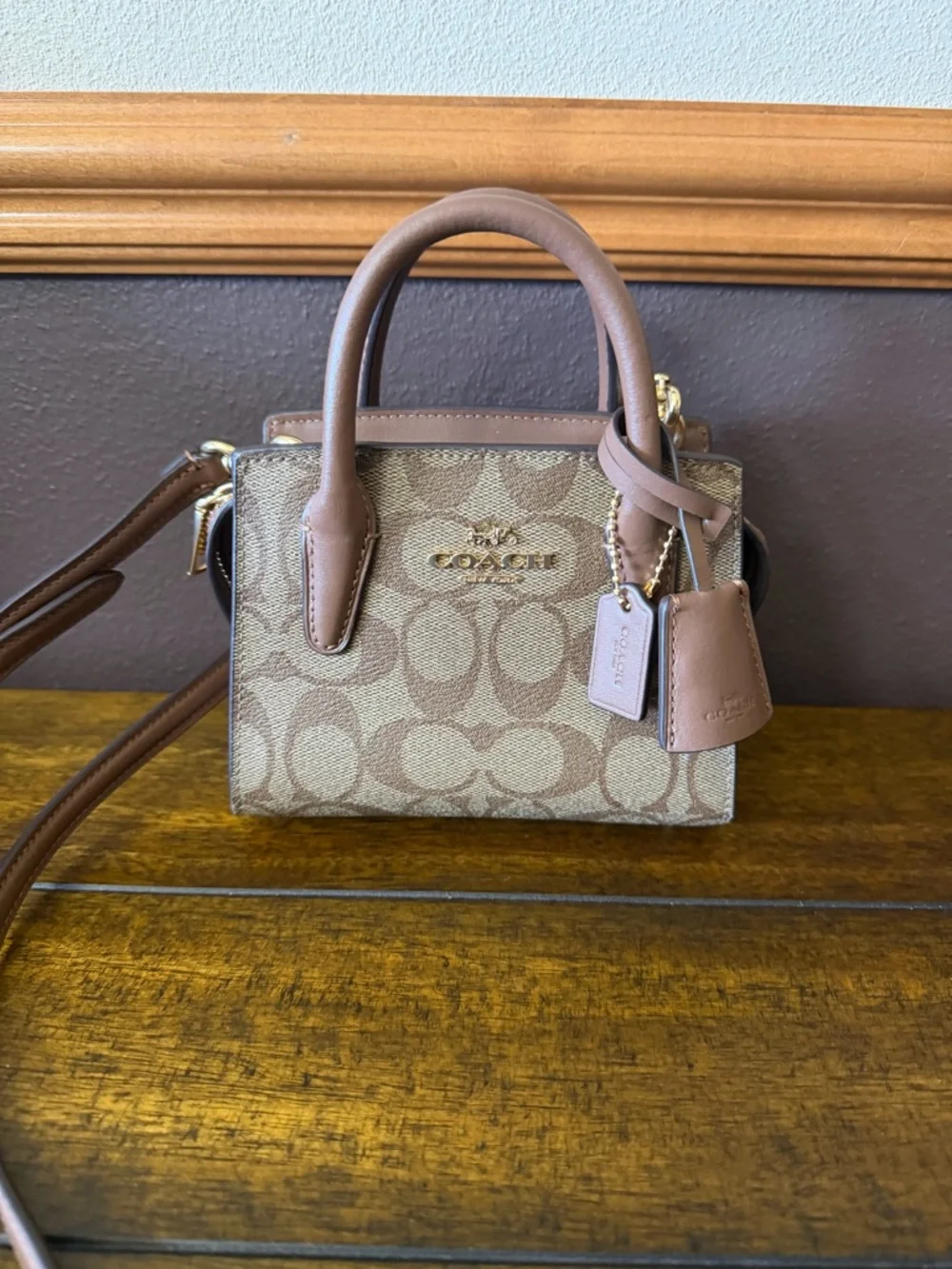 ✨NWOT Coach Andrea Mini Carryall – Signature Canvas Crossbody ✨ - Picture 2 of 11